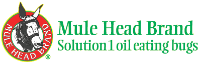 Mule Head Brand Solution1 Oil Eating Bugs